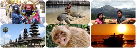 Bali Tour Package | Bali Tour Travel | Star Bali Tour