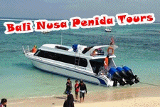Bali Nusa Penida Island Tours