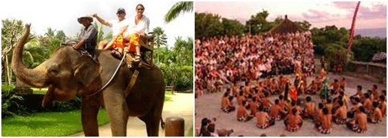 Bali Elephant Ride Tours | Bali Volcano Tours | Star Bali Tour