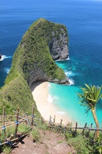Bali Kelingking Beach Nusa Penida
