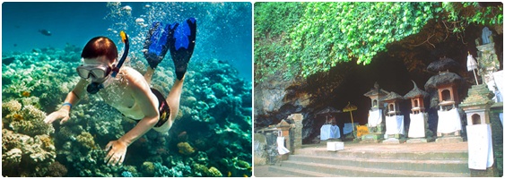 Bali Safari & Marine Park | Bali Tour | Star Bali Tour