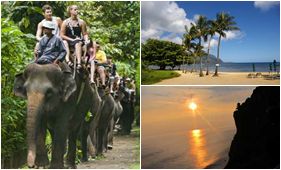 Bali Elephant Ride Tours | Bali Uluwatu Tour | Star Bali Tour