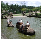 Bali Elephant Ride | Star Bali Tour