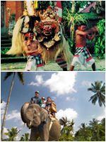 Bali Tour | Bali Tours | Tour of Bali | Star Bali Tour