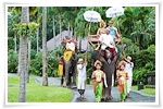 We are provide Bali Tour Package Adventures for your Trips in Bali to experience Bali Elephant Ride Activities with many selection of adventure programs