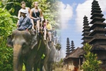 Bali Best Tour Activities