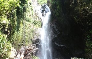 Bali Les Waterfall | Bali Tours
