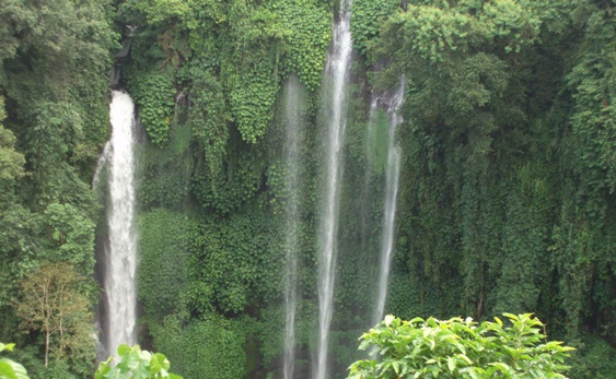 Bali Sekumpul Waterfall | Bali Tours