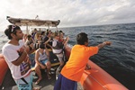 Bali Hai Cruise Tours